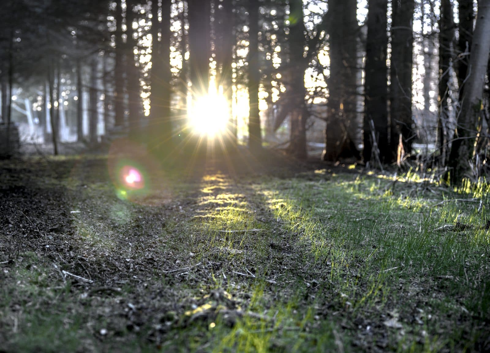 Img 9924 01