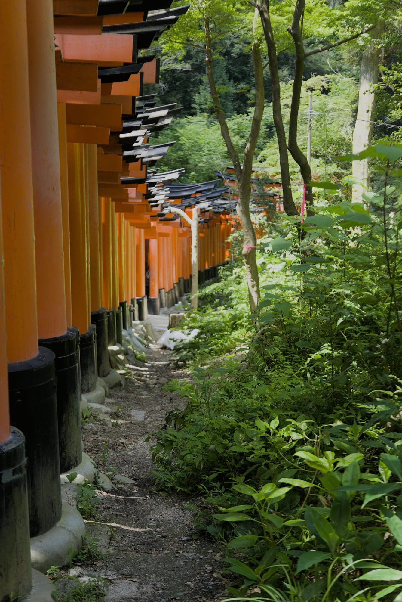 Japan 6998