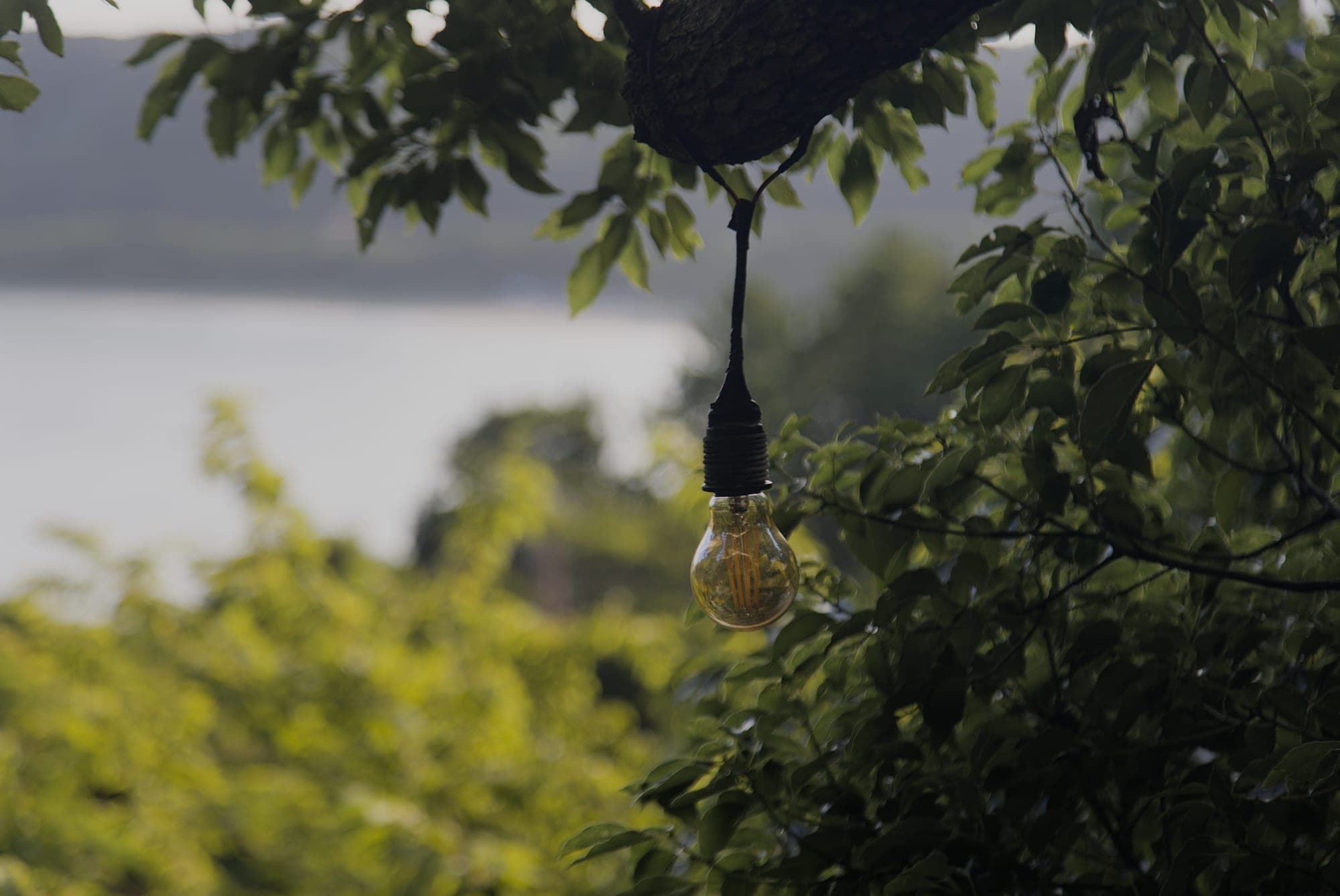 Japan 6000