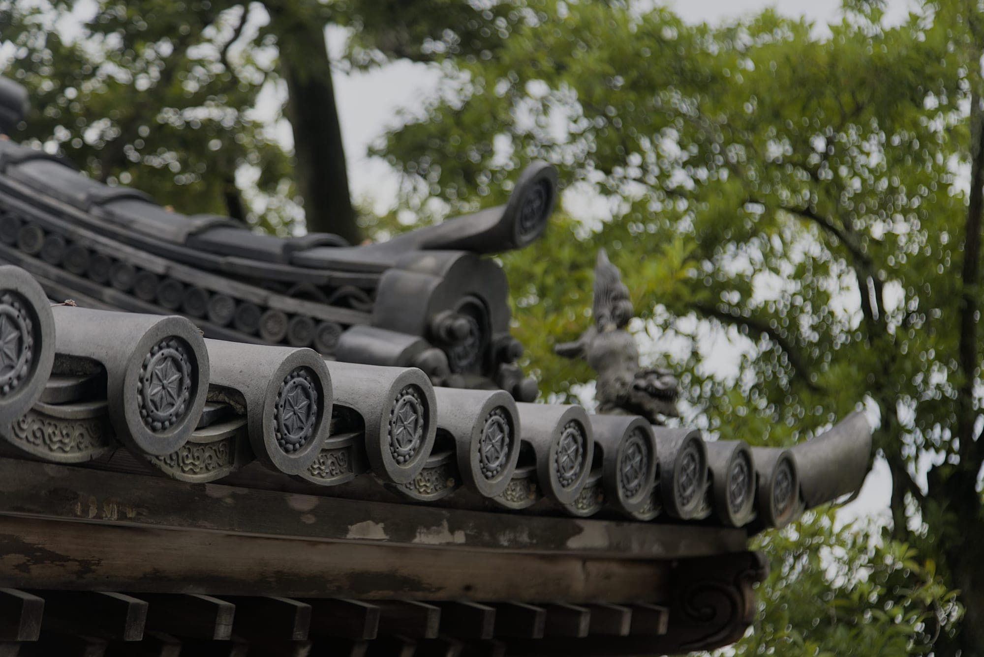 Japan 6489